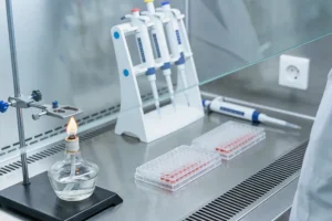 叶酸在体内代谢路径示意图