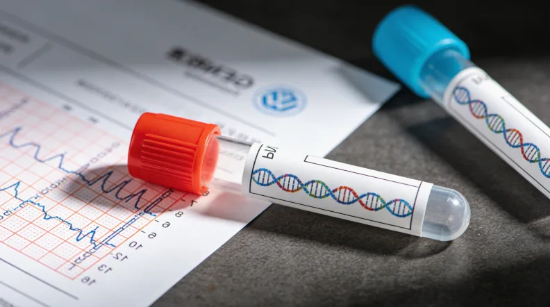 个性化膳食计划表示意图