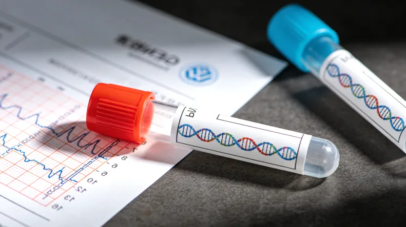 EGFR基因与细胞信号传导示意图