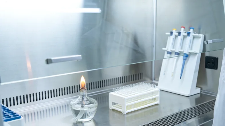 乳腺癌病理切片在显微镜下的形态