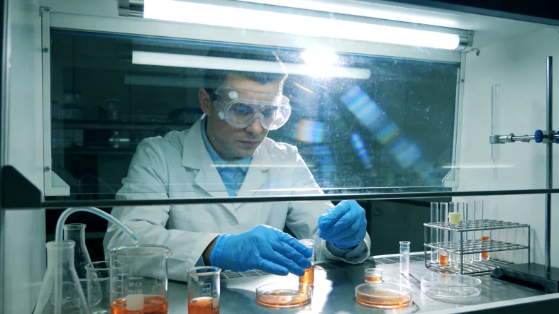 小分子TKI与大分子抗体药物结构对比