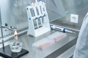 HER2阳性乳腺癌脑转移示意图