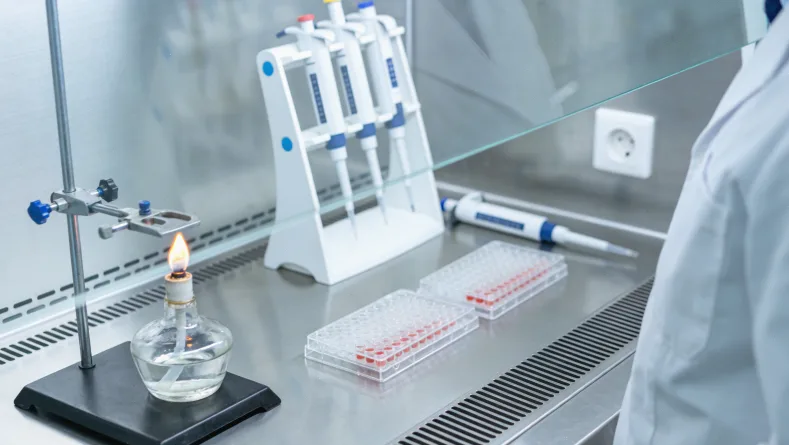 HER2阳性乳腺癌脑转移示意图