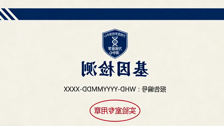 FISH检测显示HER2基因扩增的荧光显微图像