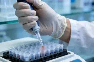 遗传咨询师与患者家庭沟通示意图