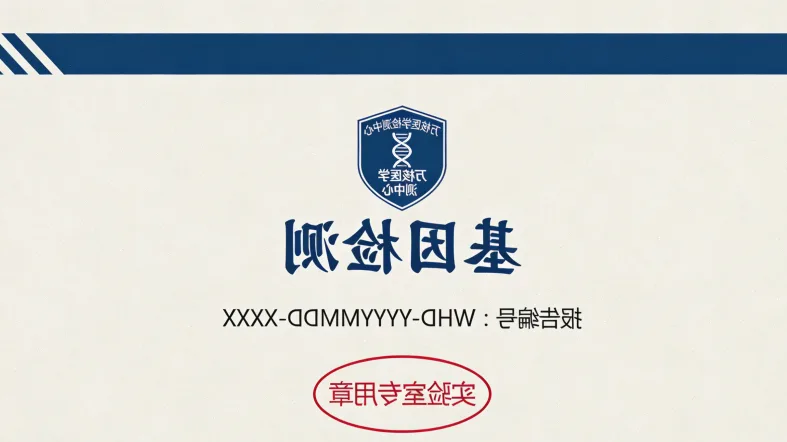 序列比对至参考基因组可视化(IGV)对比图