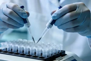 病理医生在显微镜下观察ALK IHC染色切片