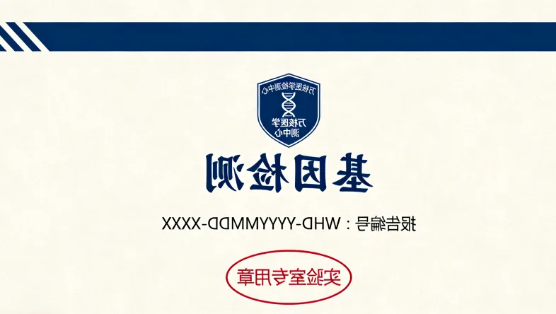 肿瘤血管异常生成与抗血管药物作用模式图