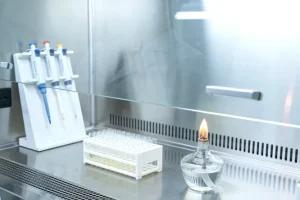 EGFR基因常见突变位点示意图