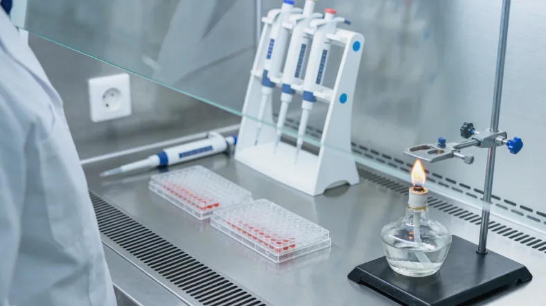 示意图：昼夜节律与血液中ctDNA浓度波动