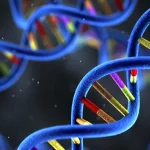 X光片显示成骨不全症特征性骨折