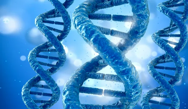 基因检测报告关键指标解读示例