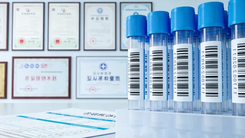 高TMB产生新抗原激活T细胞过程图解