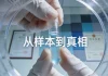 医生与患者共同查看病理报告沟通方案