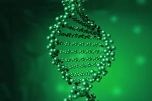 先天性青光眼患儿特征性大角膜外观