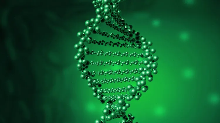 先天性青光眼患儿特征性大角膜外观