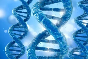 FISH检测显示HER2基因扩增