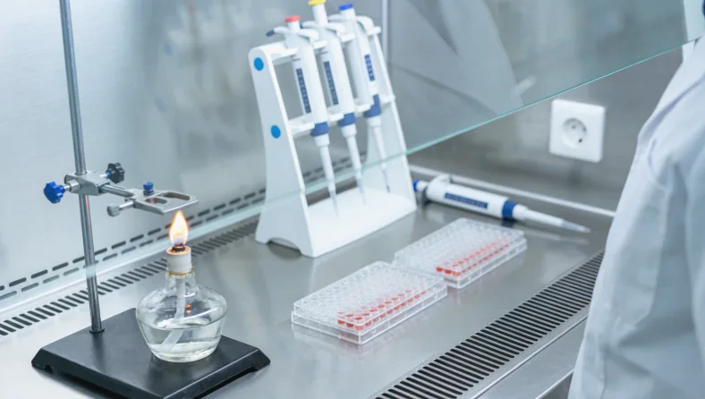 示意图：肿瘤细胞释放ctDNA进入血液循环