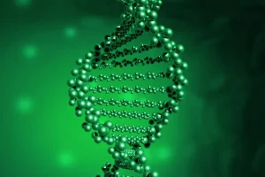 肺癌基因检测流程示意图