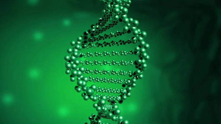 肺癌基因检测流程示意图