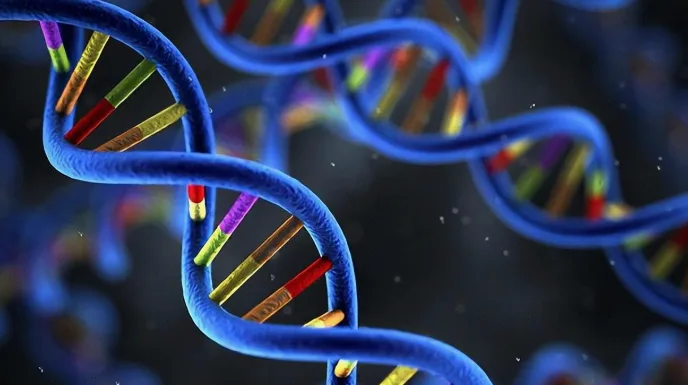 肺癌基因检测有必要做吗？这3类患者必须了解