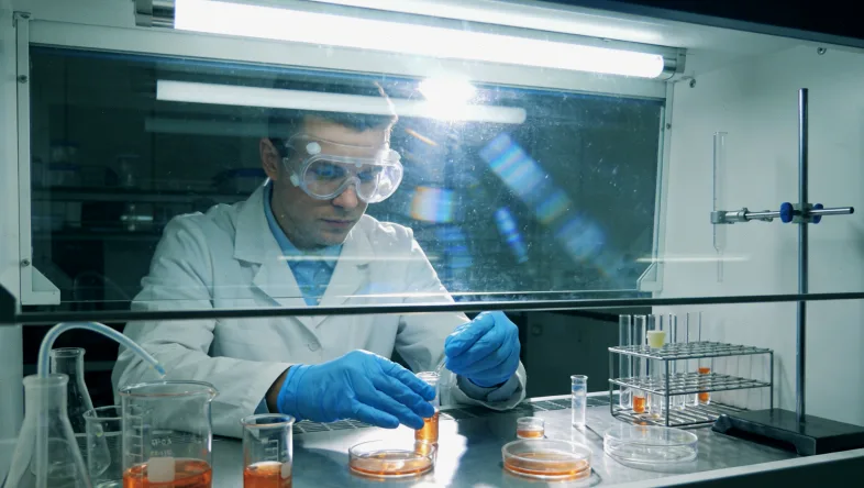 肿瘤异质性示意图:一个肿瘤内包含不同基因特征的细胞群