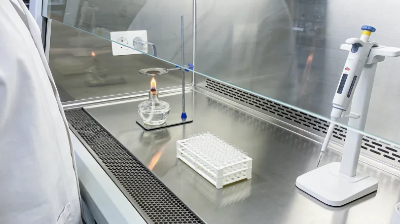 肿瘤细胞通过血液向肝脏、肺转移的示意图