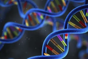 医生向患者解释基因检测报告