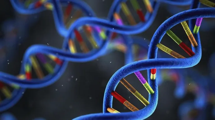 医生向患者解释基因检测报告