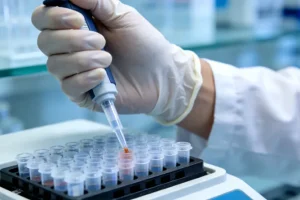 EGFR信号通路与RAS/BRAF基因作用示意图