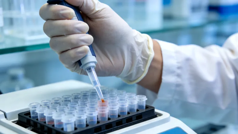 EGFR信号通路与RAS/BRAF基因作用示意图