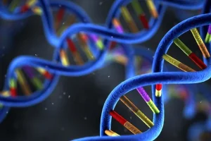 病理医生在显微镜下观察肺癌组织