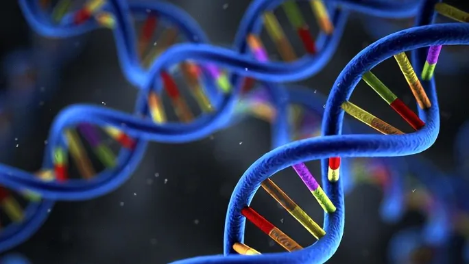 病理医生在显微镜下观察肺癌组织