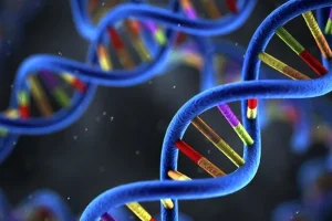 肺腺癌基因检测流程示意图