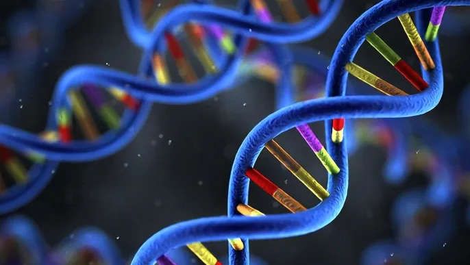 肺腺癌基因检测流程示意图