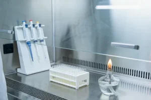 PARP抑制剂作用机制与耐药路径示意图