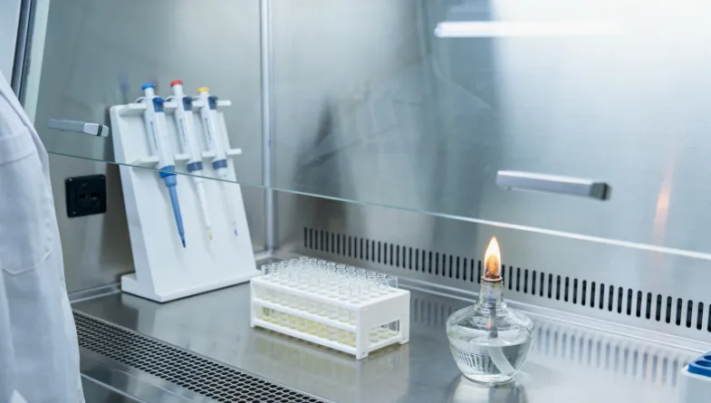 PARP抑制剂作用机制与耐药路径示意图