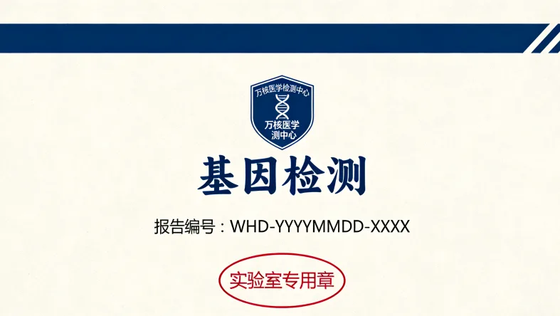 多学科团队（MDT）正在讨论胃癌病例