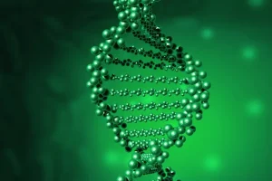 T790M检测流程对比图