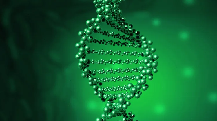 T790M检测流程对比图