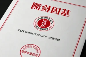 医生与患者讨论病理报告的场景