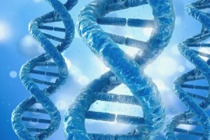 T790M突变晶体结构示意图