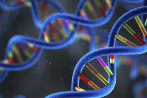 ROS1基因融合示意图