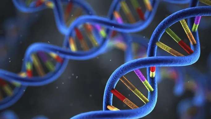 ROS1基因融合示意图