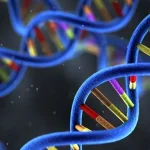 ROS1基因融合示意图