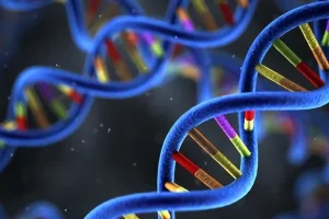 ROS1基因融合示意图