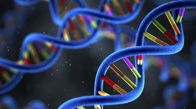 ROS1基因融合示意图