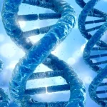 ROS1基因融合示意图