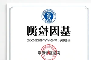 医生与患者讨论基因检测报告