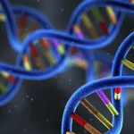 ROS1基因融合示意图